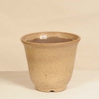 常滑作家：鴻陽(こうよう) 17.7cm 【現品】 | 盆栽鉢・水盤,現代小鉢