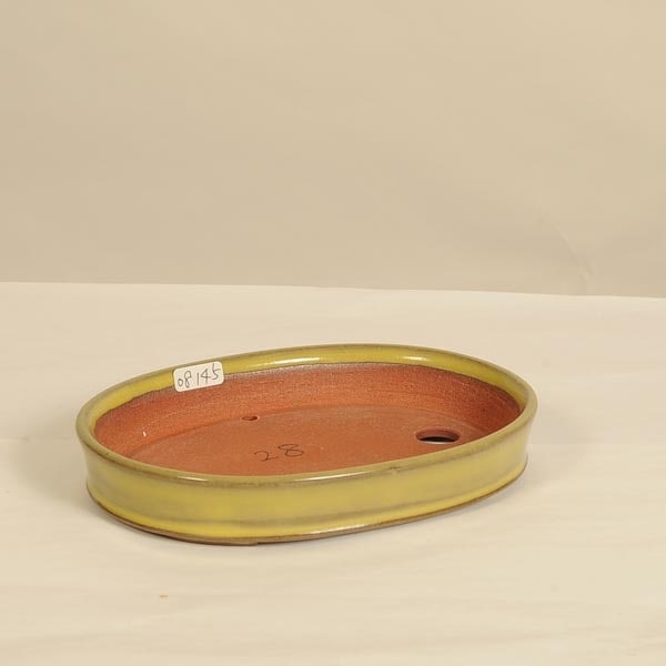 盆栽鉢：伊藤屯洋(とんよう) 16.0cm 【現品】 | 盆栽鉢・水盤,現代