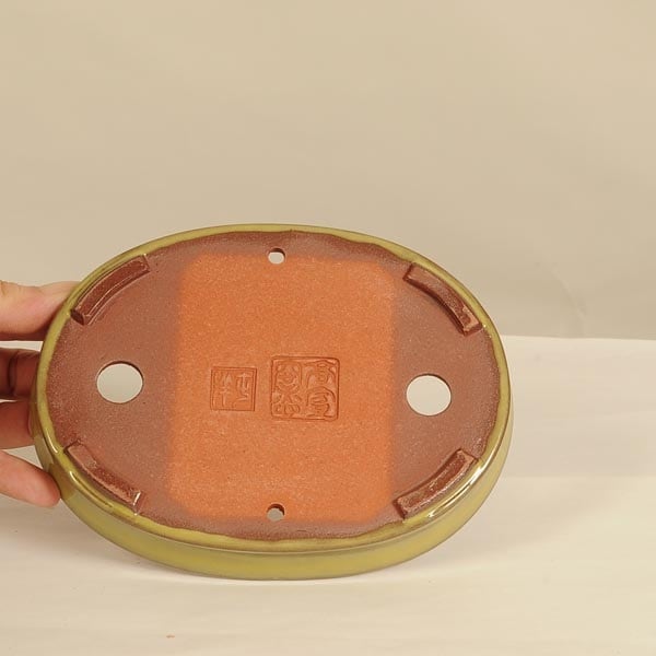 盆栽鉢：伊藤屯洋(とんよう) 16.0cm 【現品】 | 盆栽鉢・水盤,現代