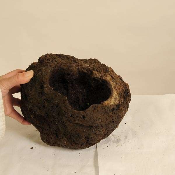 盆石　稽古用　軽量石C 薩摩軽石鉢LL【現品】 21㎝ | 水石・飾り石,軽石・付け石 | 遊恵盆栽