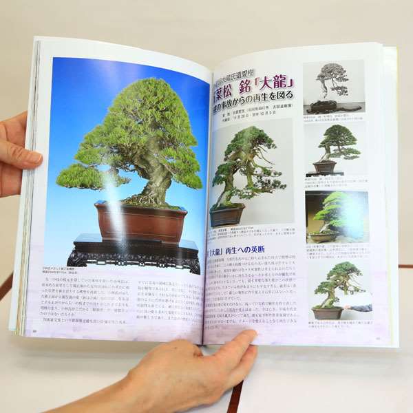 本：匠の技～盆栽技術集*資材 | 書籍,各種書籍 | 遊恵盆栽 本店