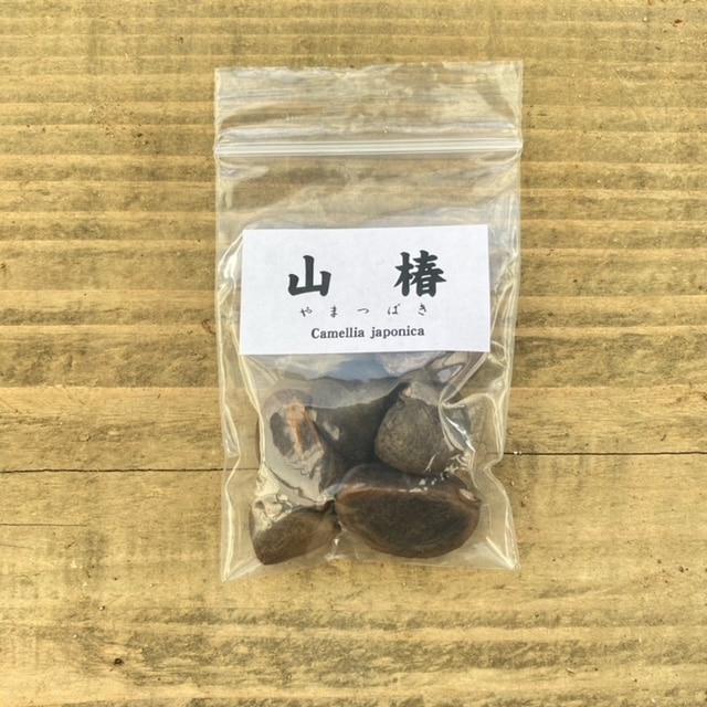 ͷ���ߺϡ���ҡ�����*(��ޥĥХ�/��ޤĤФ�)