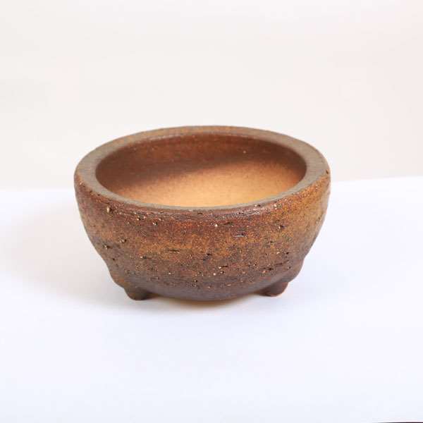 鉢：信楽焼岩石梅鉢 14.0cm*資材 | 盆栽鉢・水盤,お買い得小鉢,土物 