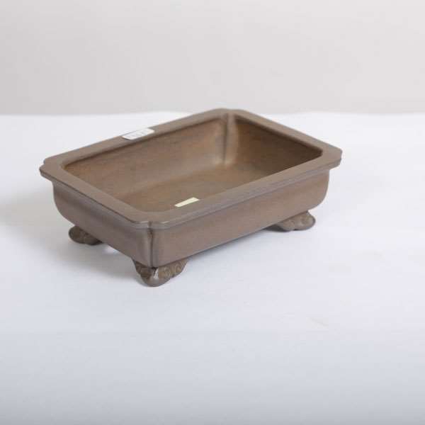 和雀(わじゃく) 14.8cm 【現品】 【送料無料】 | 盆栽鉢・水盤,現代