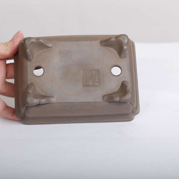 和雀(わじゃく) 14.8cm 【現品】 【送料無料】 | 盆栽鉢・水盤,現代