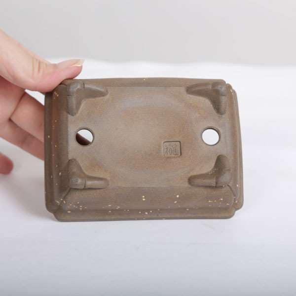 鉢：和雀(わじゃく) 11.7cm 【現品】 【送料無料】*資材 | 盆栽鉢