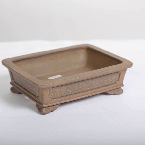 和雀(わじゃく) 14.6cm 【現品】 【送料無料】 | 盆栽鉢・水盤,現代