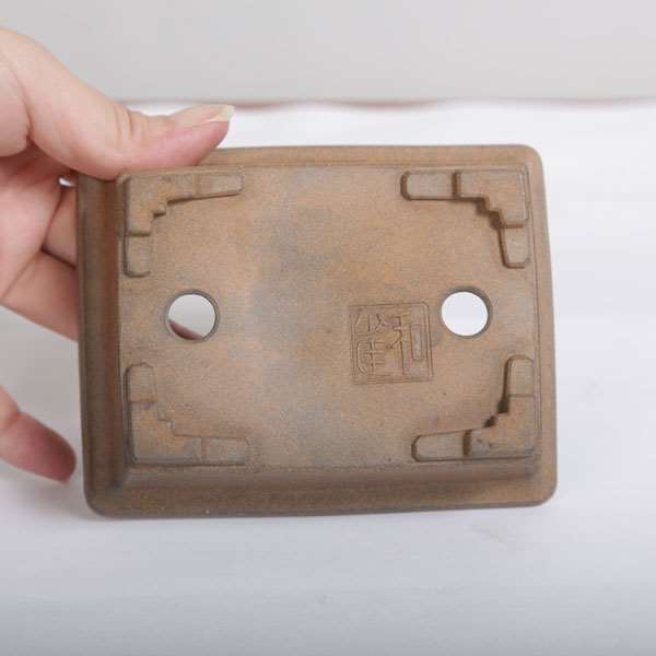 和雀(わじゃく) 11.9cm 【現品】 【送料無料】 | 盆栽鉢・水盤,現代