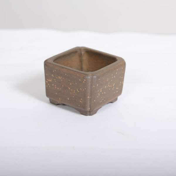 盆栽小鉢　　【和雀】　　希少品　　早い者勝ち 現代小鉢：和雀(わじゃく)丸鉢 4cm【現品】*資材 : 遊恵盆栽 Yahoo