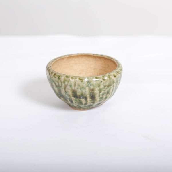 盆栽小鉢　　【和雀】　　希少品　　早い者勝ち 現代小鉢：和雀(わじゃく)丸鉢 4cm【現品】*資材 : 遊恵盆栽 Yahoo