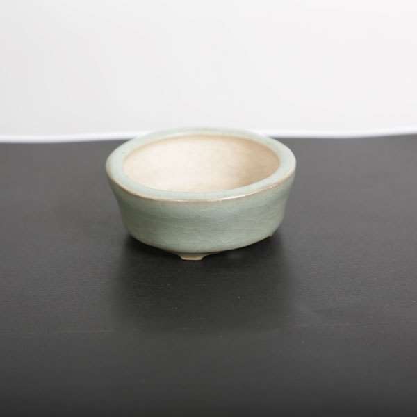盆栽小鉢　　【和雀】　　希少品　　早い者勝ち 和雀(わじゃく) 7.2cm 【現品】 | 盆栽鉢・水盤,現代小鉢,和雀(わ
