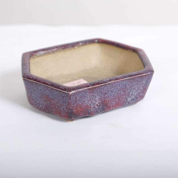 盆栽小鉢　　【和雀】　　希少品　　早い者勝ち 鉢：和雀(わじゃく) 13.5cm 【現品】 【送料無料】*資材 | 盆栽鉢