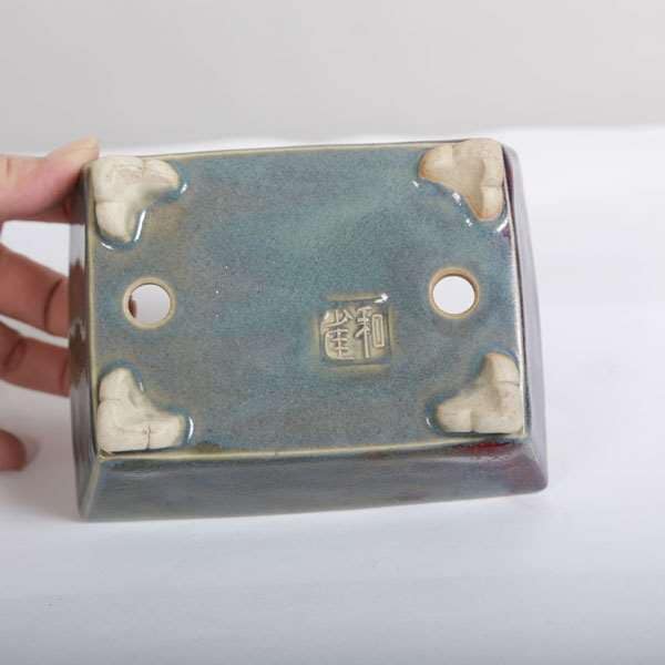 和雀(わじゃく) 13.5cm 【現品】 【送料無料】 | 盆栽鉢・水盤,現代