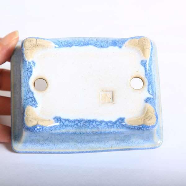 鉢：和雀(わじゃく) 11.5cm 【現品】 【送料無料】*資材 | 盆栽鉢