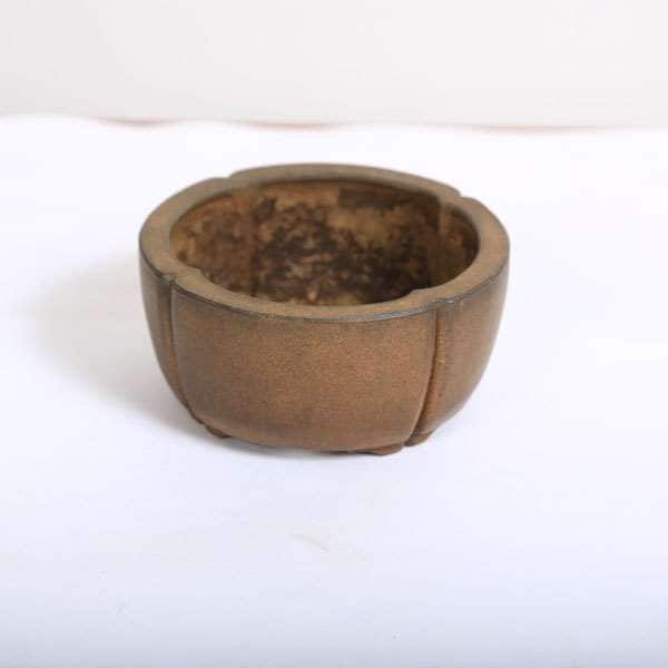 和雀(わじゃく) 9.2cm 【現品】 【送料無料】 | 盆栽鉢・水盤,現代
