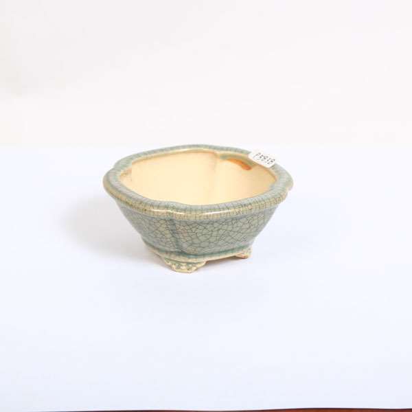 小品盆栽鉢 / 作家：英明