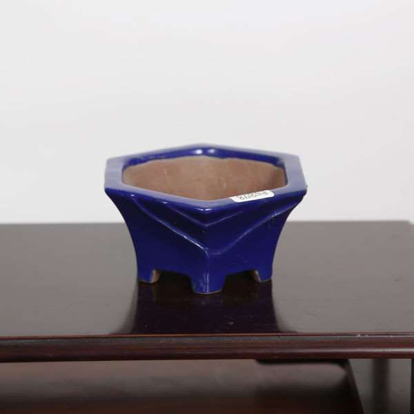 常滑作家：柴勝 10.3cm 【現品】 | 盆栽鉢・水盤,現代小鉢,柴
