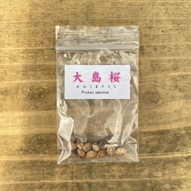 ͷ���ߺϡ���ҡ������*�ʤ������ޤ�����/�������ޥ������