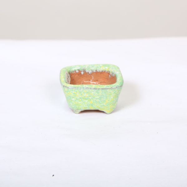 常滑作家：秀峰(しゅうほう) 4.5cm 【現品】 | 盆栽鉢・水盤,現代