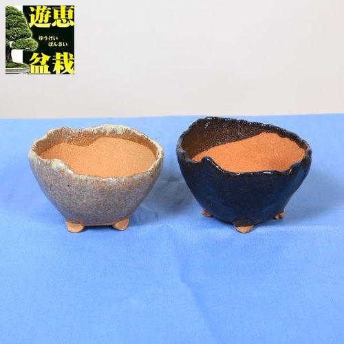 鉢：盆栽鉢 相馬焼（大）*資材 | 盆栽鉢・水盤,お買い得小鉢,色