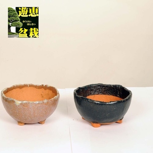 鉢　盆栽鉢 うめきち本店 – うめきち盆栽用品店