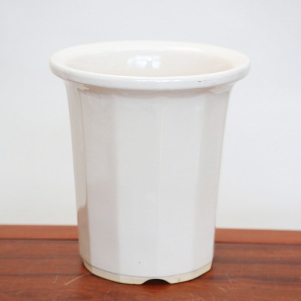 大特価 国産12角深鉢 白 7号 盆栽鉢 水盤 お買い得鉢 色物 遊恵盆栽 本店