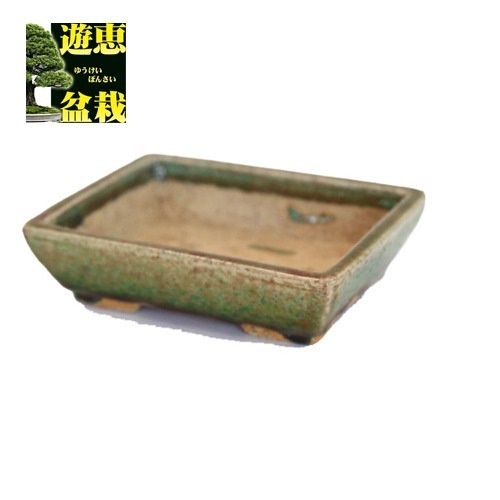 盆栽小鉢：忠寛 足付長方鉢 15cm【現】 | 盆栽鉢・水盤,現代小鉢