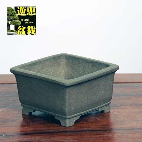 土交　正方　深め　盆栽鉢 正角盆栽鉢 Eシリーズ – TaiShoDo ONLINE SHOP