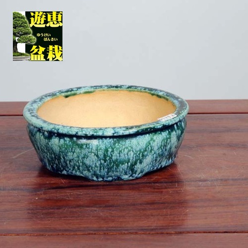 重兵衛 長方鉢 15.5cm【現】 | 盆栽鉢・水盤,現代小鉢,浜重兵衛・百花