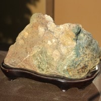 水石：菊花石 【現品】*資材 きっかせき | 水石・飾り石,水石 | 遊恵