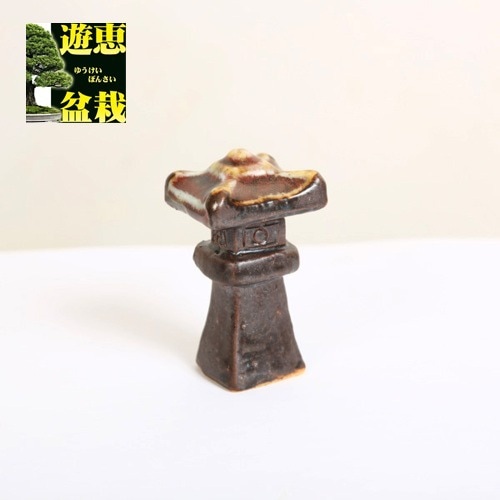 ź�ʡ�������϶*���