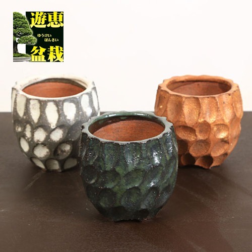 鉢：信楽面取鉢 かみ山陶器*資材 | 盆栽鉢・水盤,お買い得小鉢,色物,鉢