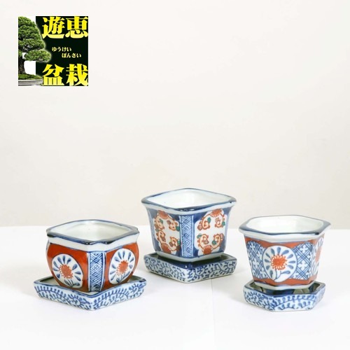 盆栽小鉢：中国赤絵小鉢3個セット2番*資材 | 盆栽鉢・水盤,お買い得