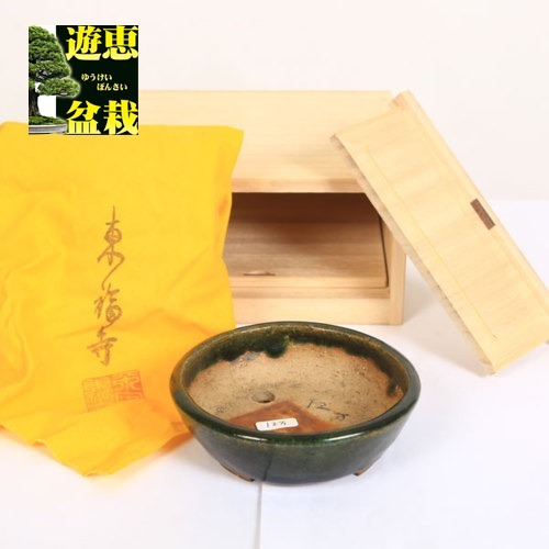 盆栽小鉢：初代 東福寺 丸鉢 12cm【現品】【送料無料】 | すべての