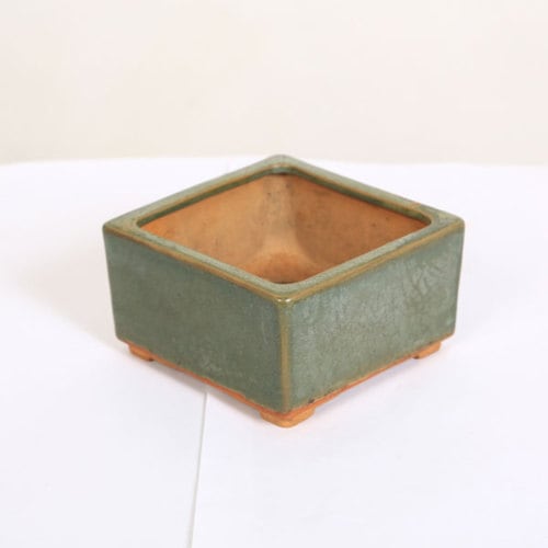 盆栽小鉢：初代 東福寺 正方鉢 10.6cm【現品】【送料無料】 | すべて