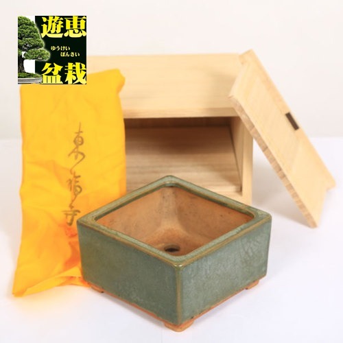 盆栽小鉢：初代 東福寺 正方鉢 10.6cm【現品】【送料無料】 | すべて
