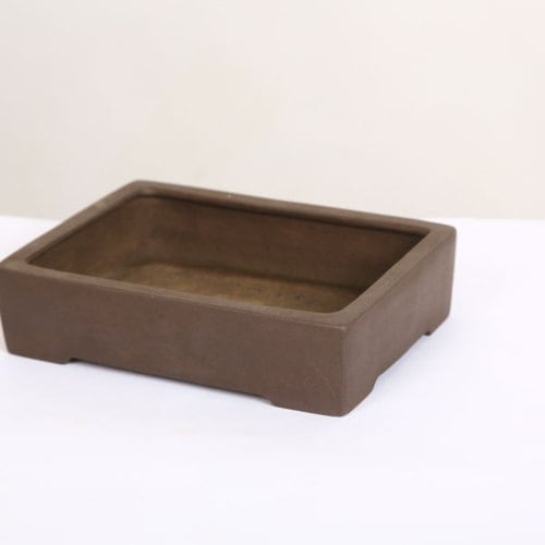 流苑 長方鉢 14.9cm【現】 | すべての商品 | 遊恵盆栽 本店
