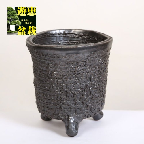 盆栽鉢：信楽焼丸深鉢*資材 | 盆栽鉢・水盤,お買い得小鉢,土物・焼締