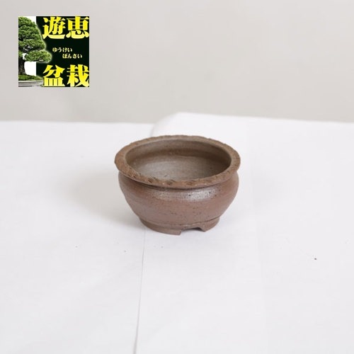 盆栽小鉢：丹波立杭焼 丹満 7.3cm【現】 | すべての商品 | 遊恵盆栽 本店