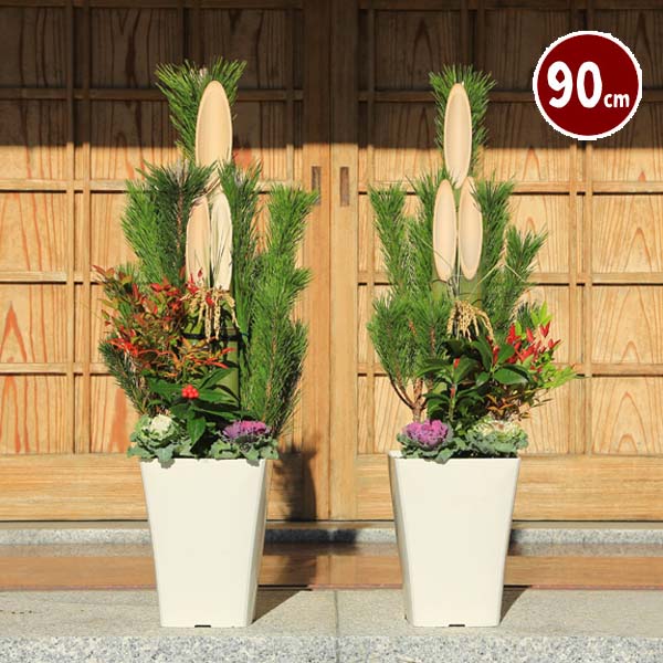 �� ��ȭ�ʾ� 90cm) �۷޽ա�ŷ���Ǻ���羾���Сʾ���90��m)*��ͽ������桪