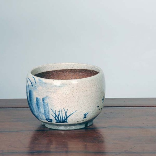 信楽焼：粉引絵付鉢（カニ）11.5cm*資材 | すべての商品 | 遊恵盆栽 本店