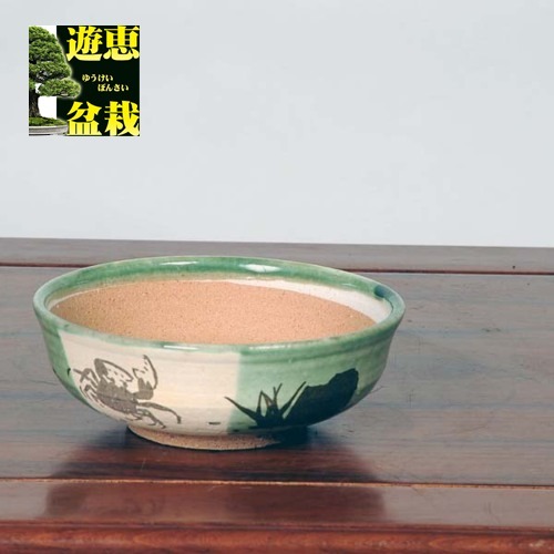 信楽焼：カニ織部絵付浅鉢 5号*資材 | すべての商品 | 遊恵盆栽 本店
