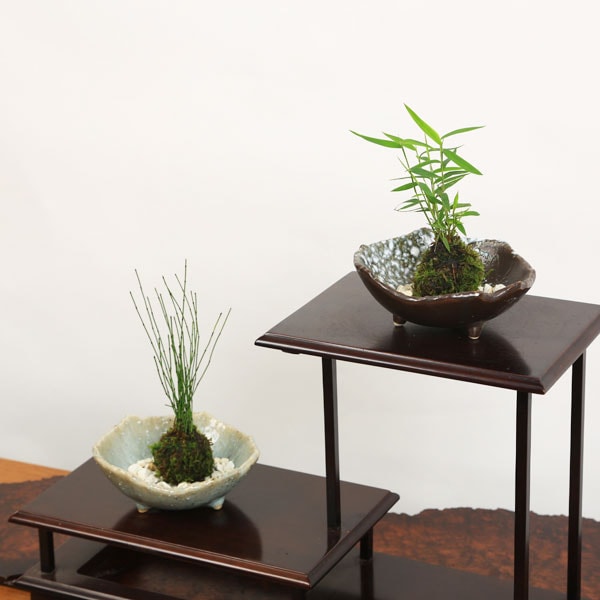 是心　苔鉢　植木鉢　盆栽鉢　苔玉　Bonsai 山野草鉢 是心 苔鉢 盆栽鉢 植木鉢 苔玉 Bonsai 山野草鉢 是心 苔鉢 盆栽鉢