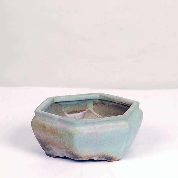 盆栽鉢　神谷流苑　流苑 流苑 六角色鉢 11.5cm【現】【送料無料】 | 盆栽鉢・水盤,現代小鉢,流