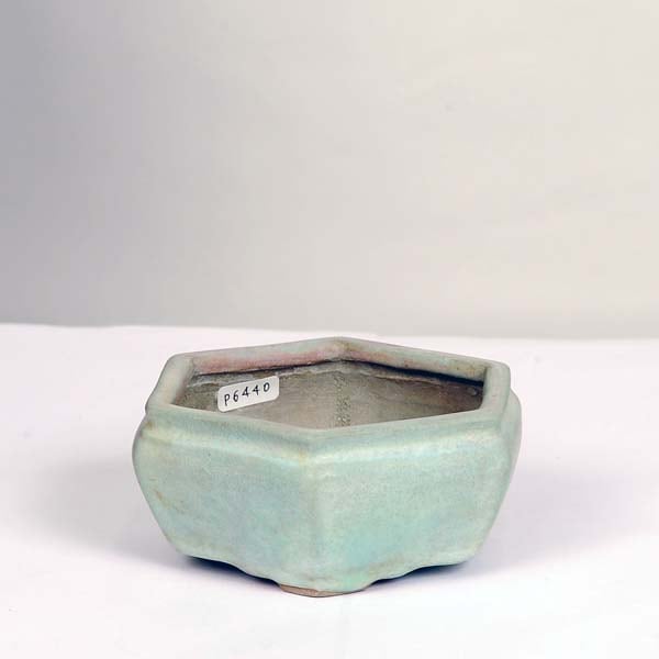 盆栽鉢　神谷流苑　流苑 流苑 六角色鉢 11.5cm【現】【送料無料】 | 盆栽鉢・水盤,現代小鉢,流