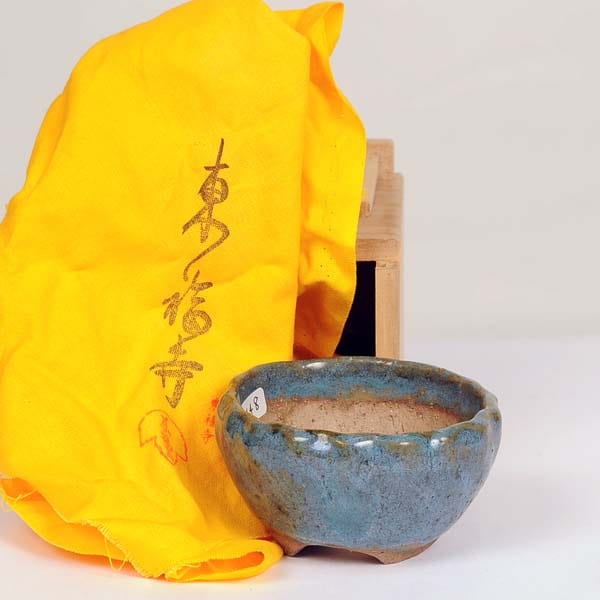 盆栽小鉢：東福寺 丸鉢 8cm【現】【送料無料】 | 盆栽鉢・水盤,現代