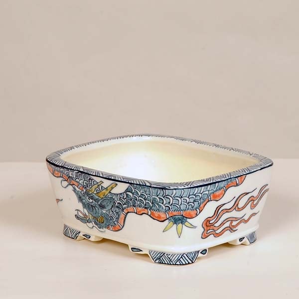 現代小鉢：祥石(二代目) 長方鉢 12.5cm【現】【送料無料】 | 盆栽鉢