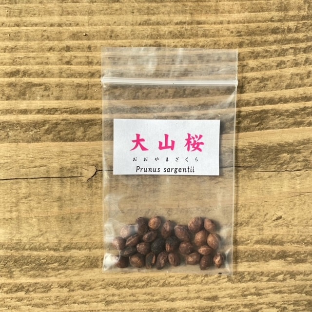 ͷ���ߺϡ���ҡ��绳��*�ʤ�����ޤ�����/������ޥ������