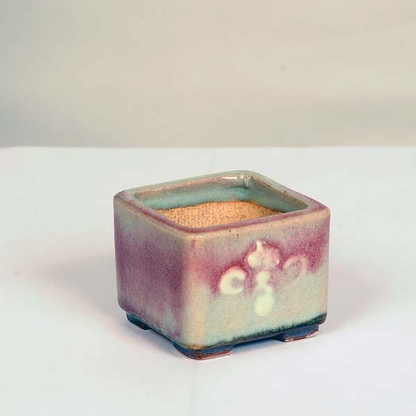 現代小鉢：平安虹泉 正方鉢 6.2cm【現】 | 盆栽鉢・水盤,現代