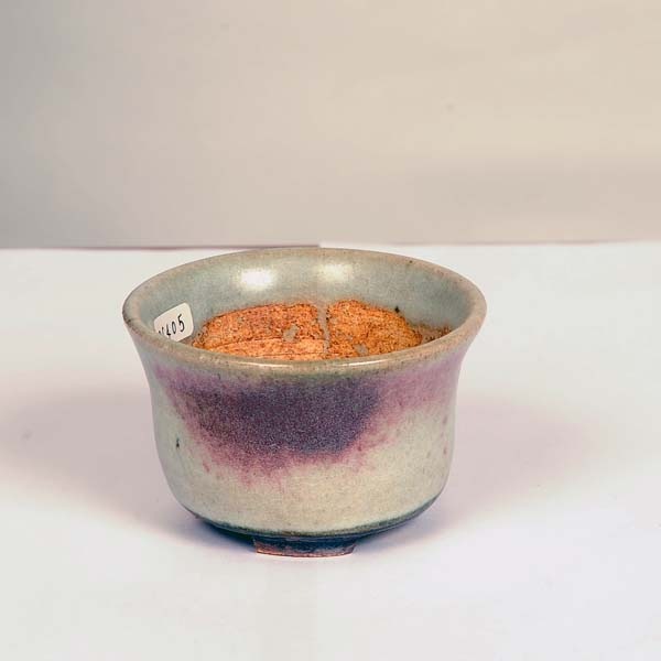 盆栽鉢　平安虹泉 盆栽小鉢：平安虹泉 (長方鉢 22.0cm)*資材 : 遊恵盆栽 Yahoo!店 - 通販